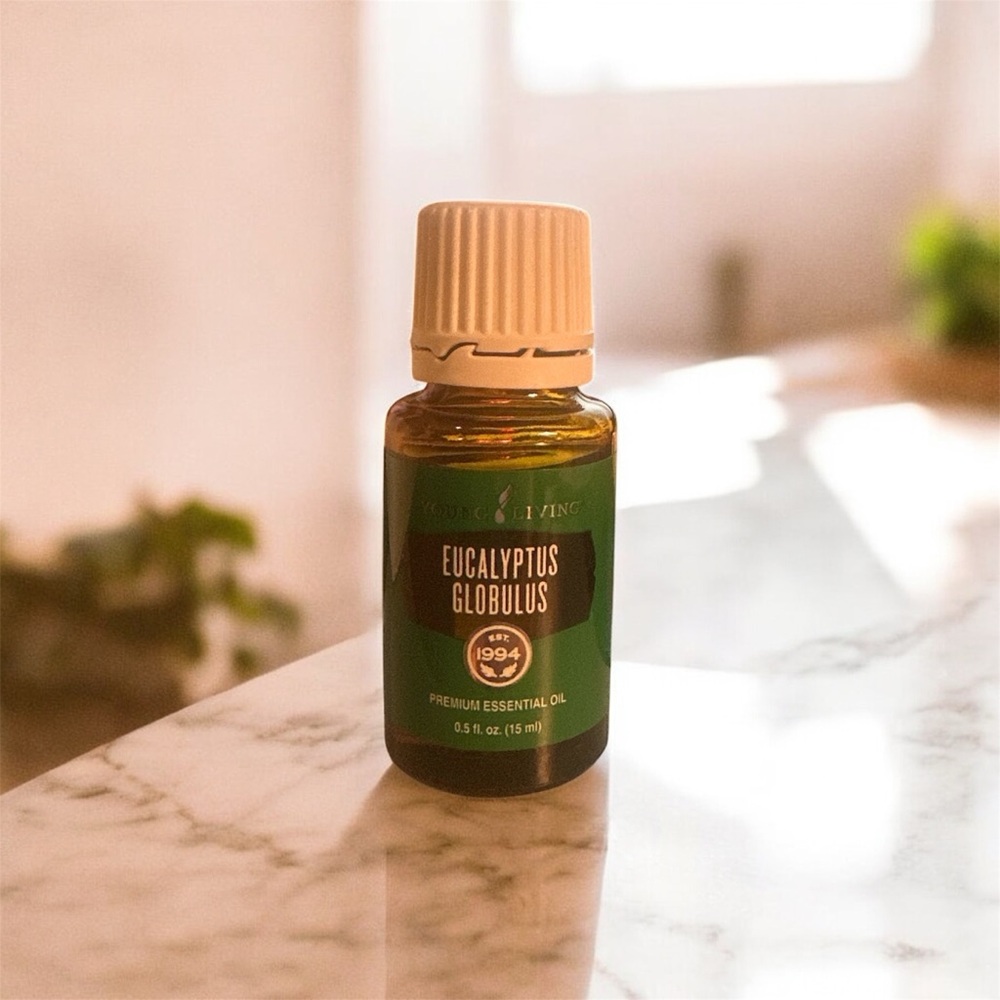Young Living Eucalyptus Globulus Essential Oil in Brown and Cream